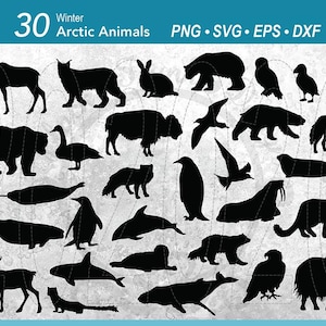 30 Arctic Winter Animal SVG Bundle Silhouette | White Snow Animals | Antartica North Pole Animals | Penguin | Wolf | Reindeer | Polar Bear