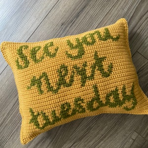 CROCHET PILLOW PATTERN- See You Next Tuesday Pillow, Cunt Pillow