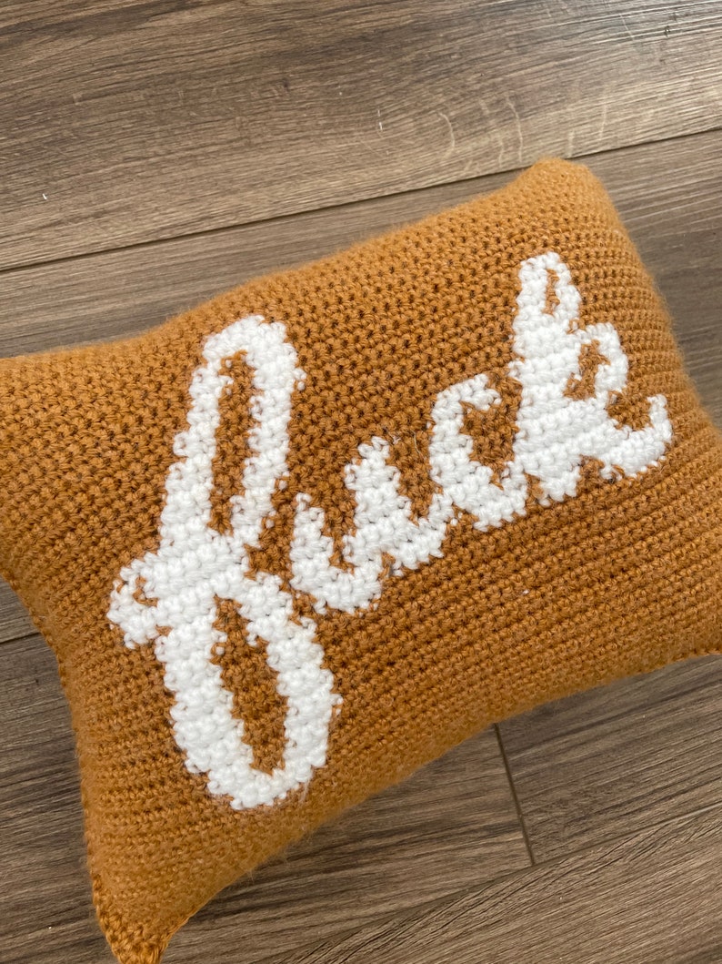 May include: A brown crocheted pillow with the word "Just" embroidered in white.
