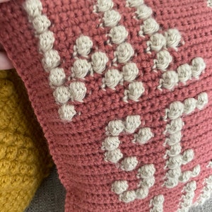 CROCHET PILLOW PATTERN We Had Sex in Here Crochet Pillow, Valentines Day Pillow 画像 5