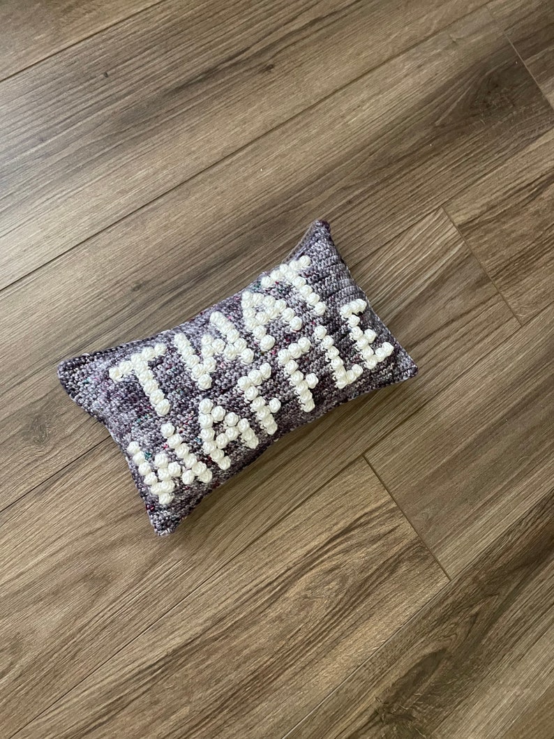 CROCHET PILLOW PATTERN Twat Waffle Crochet Pillow, Twat Pillow image 7