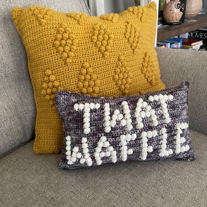 CROCHET PILLOW PATTERN Twat Waffle Crochet Pillow, Twat Pillow image 4