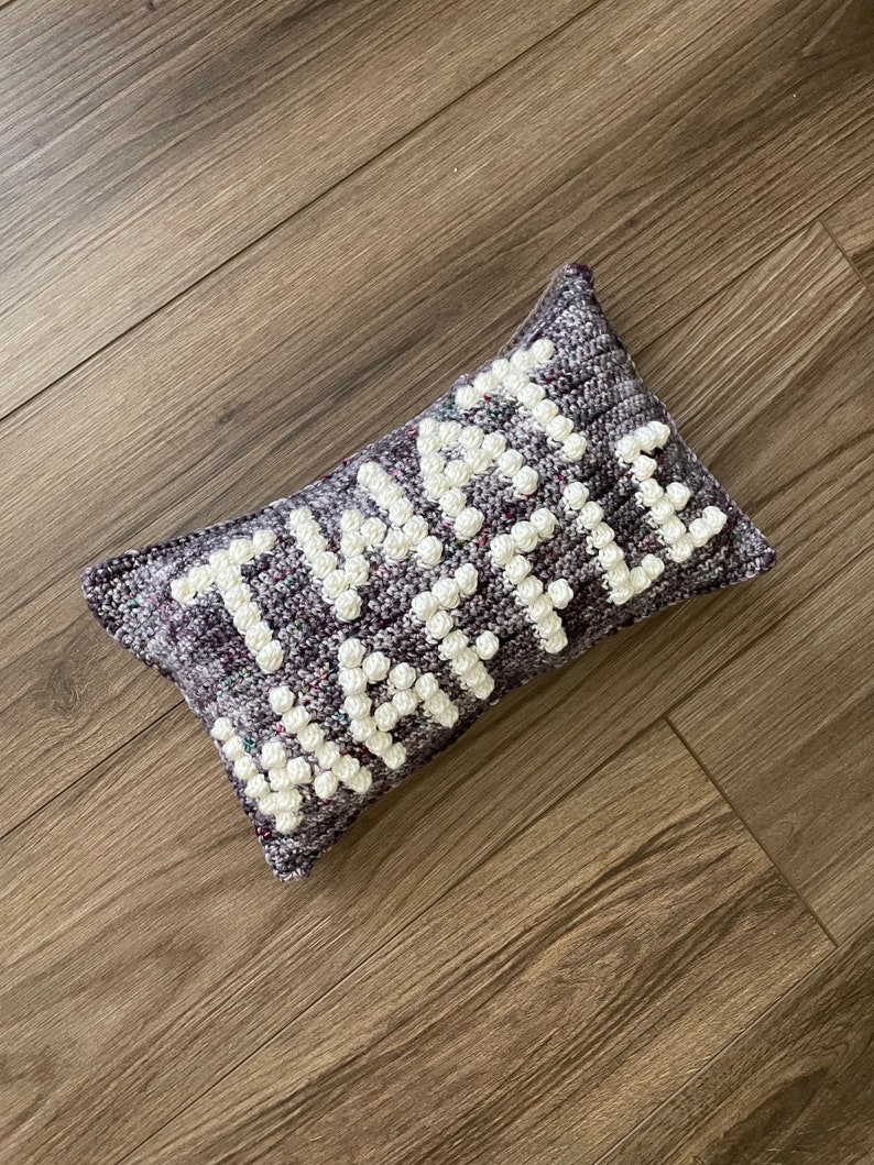 CROCHET PILLOW PATTERN Twat Waffle Crochet Pillow, Twat Pillow image 9