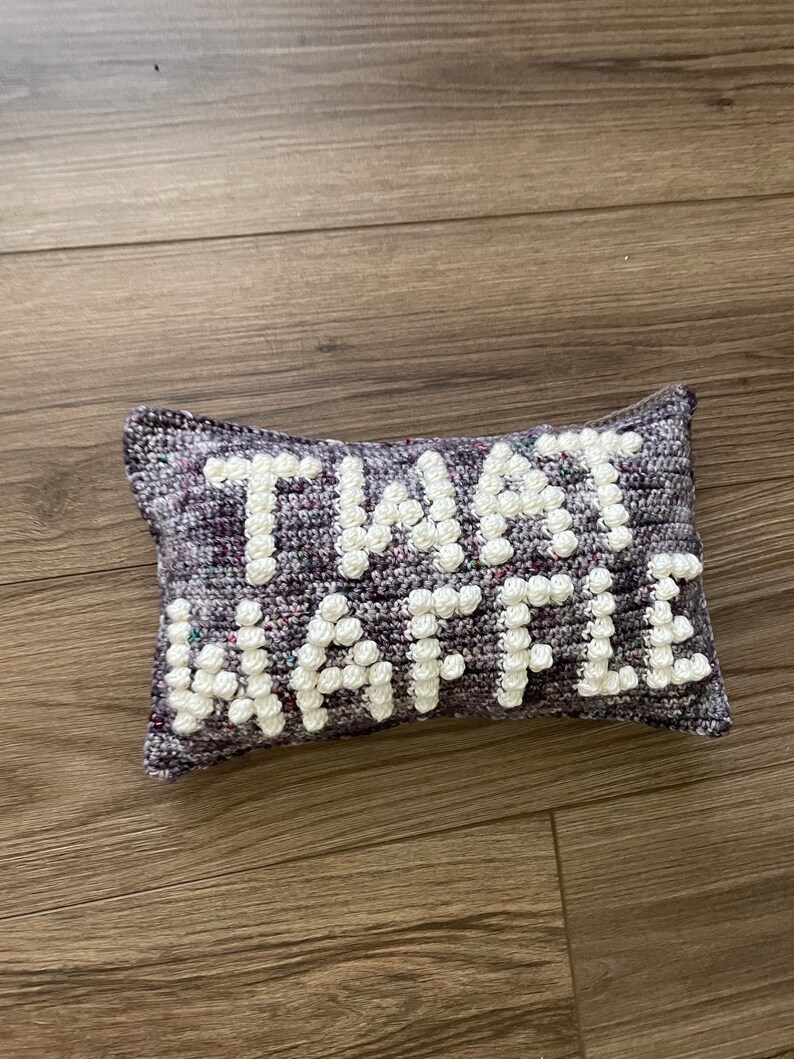 CROCHET PILLOW PATTERN Twat Waffle Crochet Pillow, Twat Pillow image 3