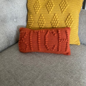 CROCHET PILLOW PATTERN- Bitch Pillow