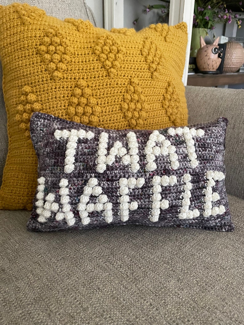 CROCHET PILLOW PATTERN Twat Waffle Crochet Pillow, Twat Pillow image 1