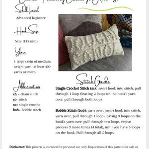 CROCHET PILLOW PATTERN Douche Canoe Crochet Pillow, Canoe Crochet Pillow, Funny Crochet image 2