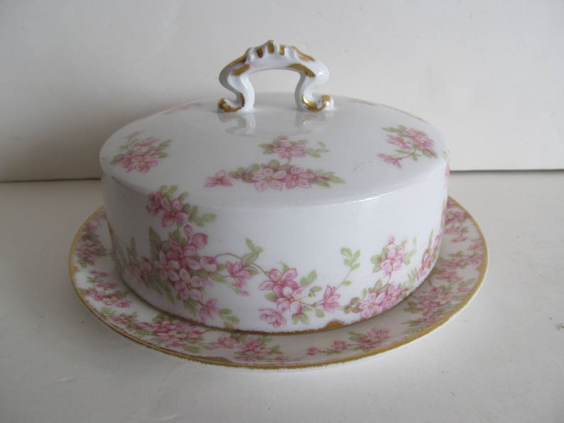 Domed Butter Dish Limoges Elite Works Victorian Dome Top Etsy