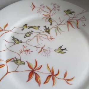 Artist Signed Rare Haviland Limoges Bird Plate  Hand Painted Plate Signed By Artisan F Burns H&C L Limoges China Hand Painted Limoges