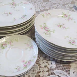 Limoges Set of 2 Saucer Plates Limoges France CH Fields Haiviland GDA Antique Plates Roses Wedding Plates Fine Dining Dishes Luxury Dishes