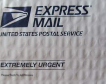 FILM Rush Order Extremely Urgent Shipping Upgrade For Domestic and International Shipments from ReVintageLannie Ships Worldwide