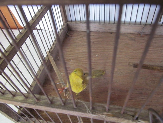 Jaula de trampa para canarios primitiva, jaula de pájaros de minero  antiguo, jaula de pájaros hecha a mano de madera y trampa -  México