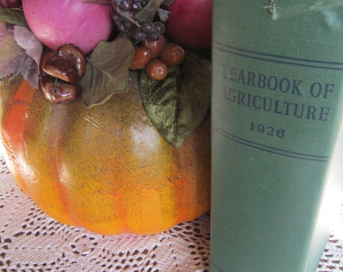 Antique Farmhouse Coffee Table Decor 1926 Yearbook of Etsy