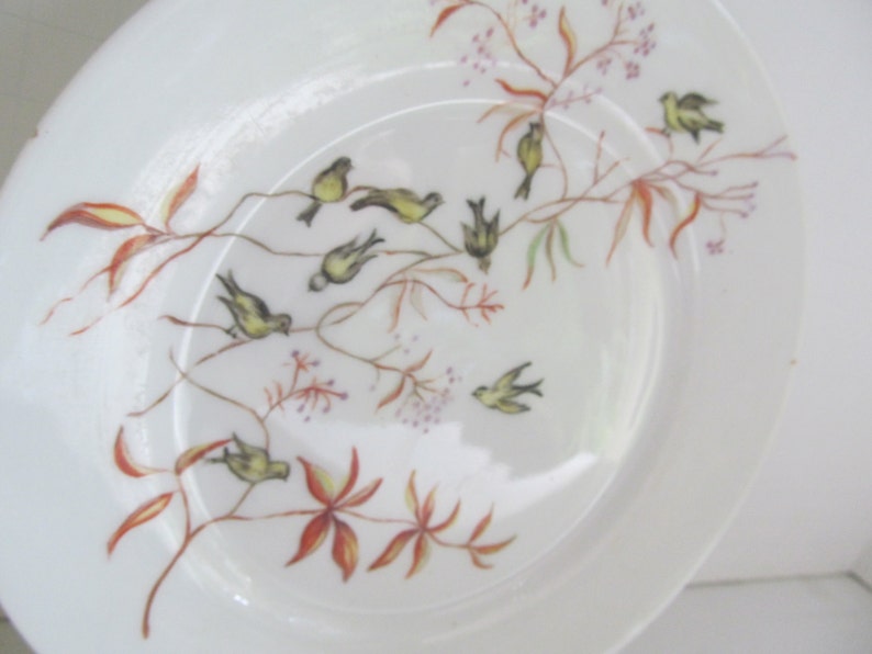 Artist Signed Rare Haviland Limoges Bird Plate Hand Painted Plate Signed By Artisan F Burns H/&C L Limoges China Hand Painted Limoges