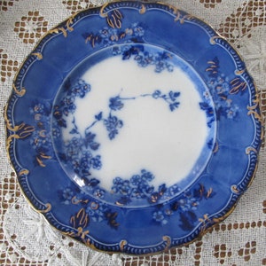 Flow Blue Ridgways Lugano Pattern plates Blue and White Floral Pattern Antique Blue China Plates 19th Century China Ridgways Replacement