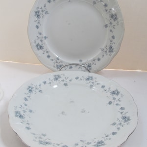Johann Haviland Bavaria Germany Blue Dinner Plates replacement China Germany Plates Blue Decor Victorian Plates Germany Romantic Home Decor