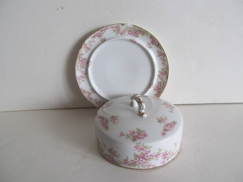 Domed Butter Dish Limoges Elite Works Victorian Dome Top Etsy