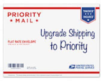 Shipping Up Grade Priority Shipping 2 to 3 Days USPS Priority Domestic ReVintageLannie