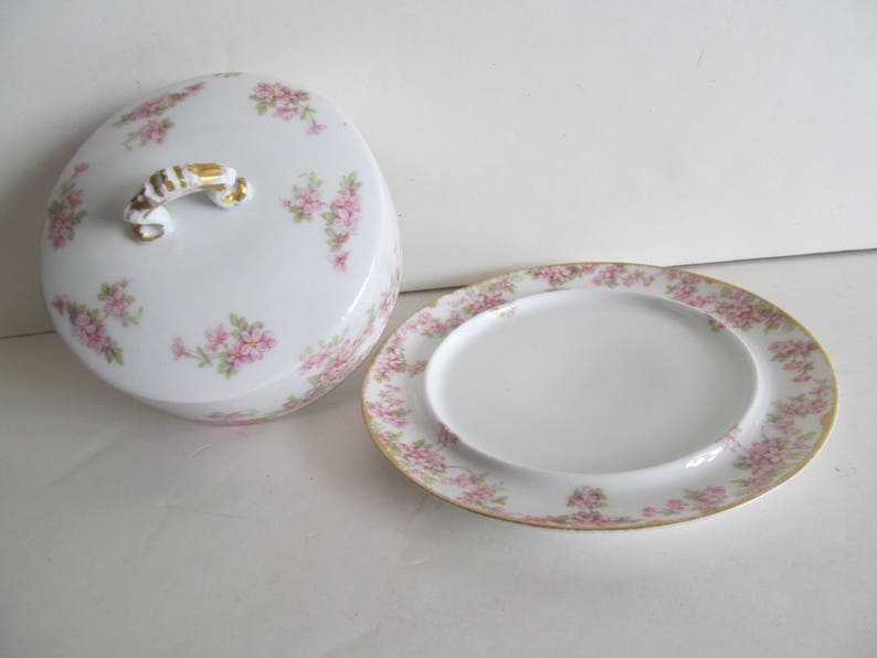 Domed Butter Dish Limoges Elite Works Victorian Dome Top Etsy