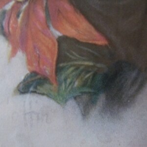 May include: A close-up of a vintage art print featuring a red poinsettia flower with green leaves. The print is signed "Fin" in the bottom left corner.