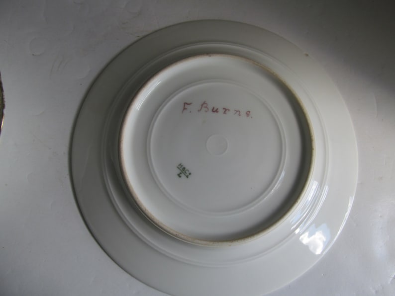 Artist Signed Rare Haviland Limoges Bird Plate Hand Painted Plate Signed By Artisan F Burns H/&C L Limoges China Hand Painted Limoges
