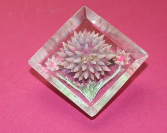 Broche Ancienne Vintage En Lucite Blanche - Décor Floral (roses), Accessoire De Collection