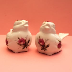 Vintage Salt and Pepper Pots/Condiments/Cruet/Delightful pair of Dicky Birds