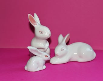 Delightful Miniature Porcelain Rabbit Figurines/Family (2)