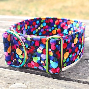 May include: A colorful dog collar with a vibrant confetti pattern in shades of red, blue, green, and orange. The collar features a metal buckle and D-ring. The collar is made of fabric and is designed for a dog.