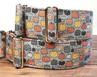 halloween dog collar fall martingale pumpkins dog collar, boy dog collar fall greyhound, whippet collar / squash