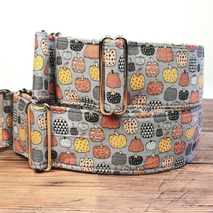 halloween dog collar fall martingale pumpkins dog collar, boy dog collar fall greyhound, whippet collar / squash