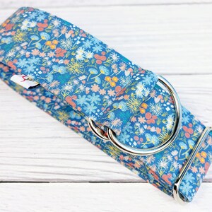 May include: A blue and pink floral dog collar with a silver D-ring.