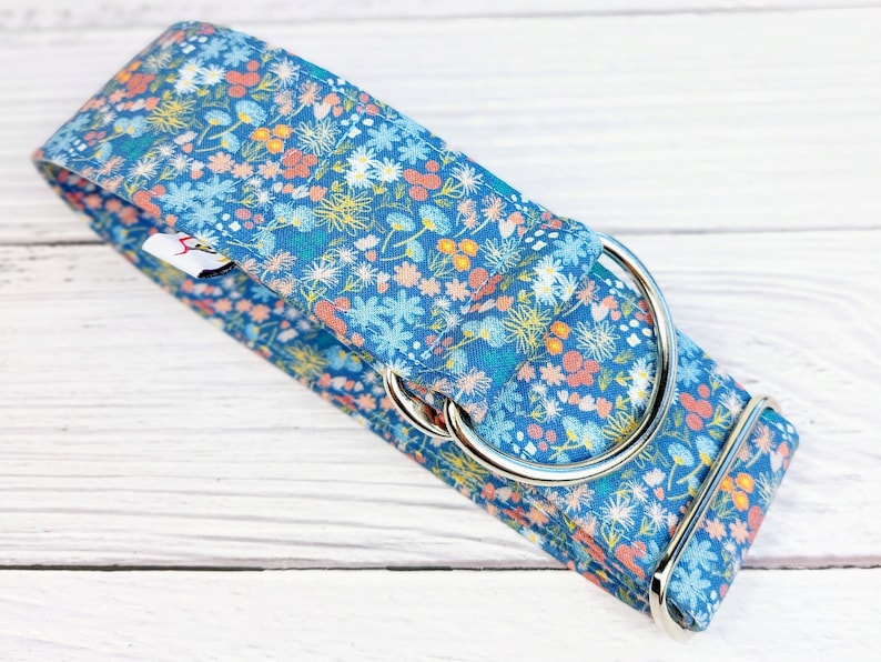 May include: A blue and pink floral dog collar with a silver D-ring.