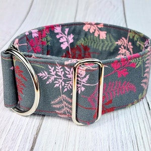 fall dog collar grey purple greyhound collar, martingale collar or buckle, whippet collar / fern