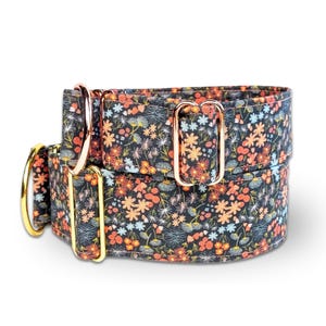 flower dog collar, brown orange fabric greyhound collar, floral martingale collar or buckle, whippet collar / asters image 1
