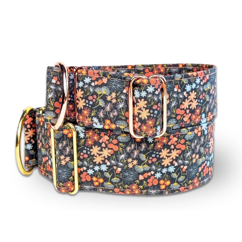 flower dog collar, brown orange fabric greyhound collar, floral martingale collar or buckle, whippet collar / asters image 1