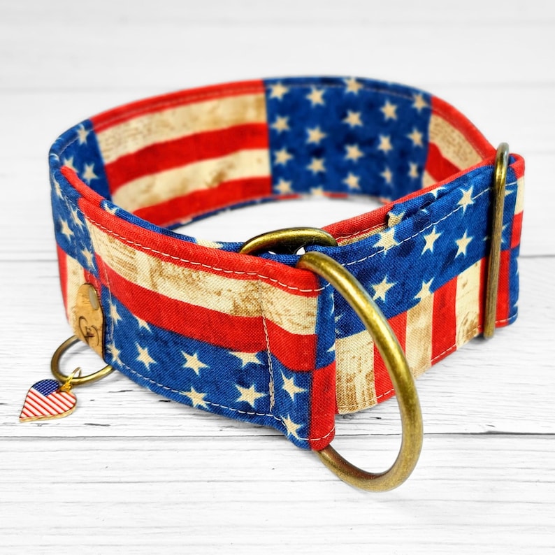 May include: A patriotic dog collar featuring the American flag design. The collar is made of fabric with red and white stripes and blue fields with white stars. It has a gold-colored metal ring and a small charm with the American flag.