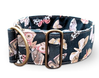 black dog collar butterfly, greyhound collar moth, fabric dog collar gothic, limited slip martingale or buckle collar / Noctis