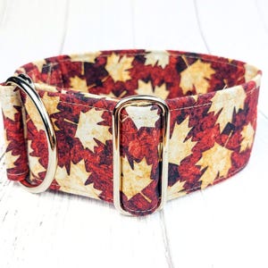 Hundehalsband Ahornblatt, rotes Windhundhalsband Ahorn als Zugstopp oder Steckschließe, Kanada, whippet Halsband / Maple