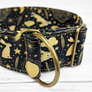 Brett svart hundhalsband, kanin martingale-stil, stryphalsband eller med tryckknappsspänne, greyhound-halsband, whippet-halsband / hare bild 3