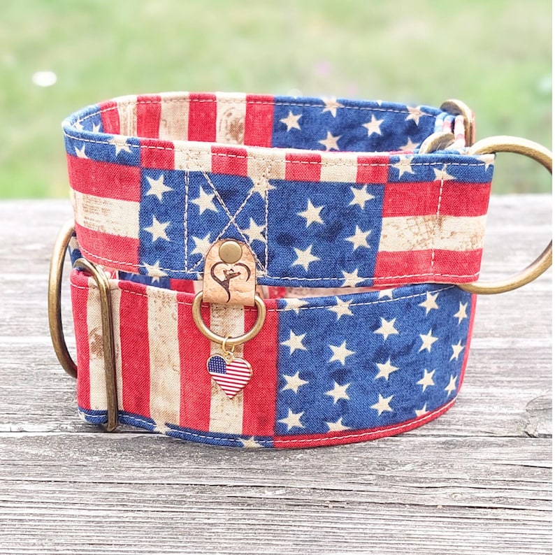 May include: A patriotic dog collar featuring a red, white, and blue American flag design. The collar has a sturdy metal D-ring and a small heart-shaped charm with the American flag. The collar is made of durable fabric.