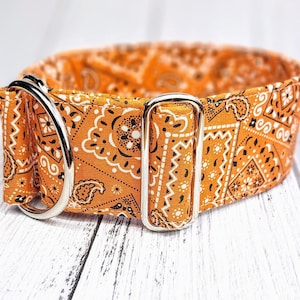 Hundehalsband Bandana orange Martingale Zugstopphalsband od Steckschließe, Windhundhalsband, Whippet Halsband / bandana terra