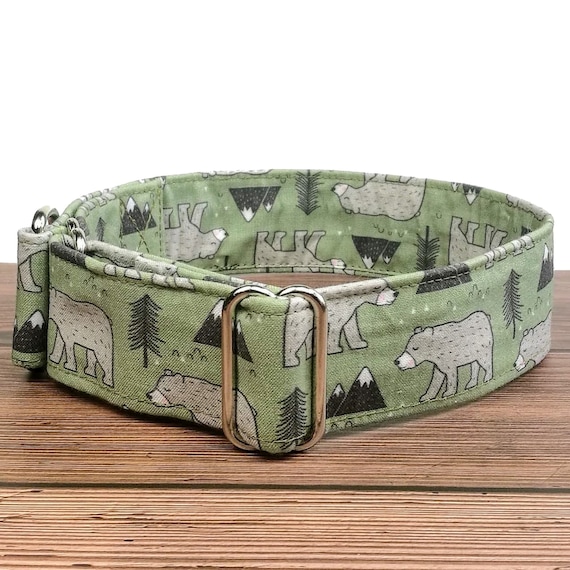 bears dog collar