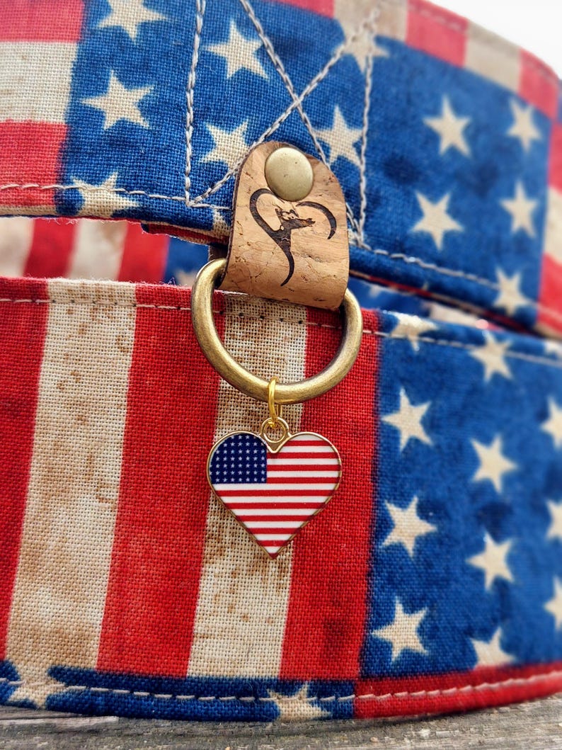 May include: A patriotic dog collar featuring a design of the American flag. The collar has a red, white, and blue pattern with stars and stripes. A heart-shaped charm with the American flag hangs from a gold ring.