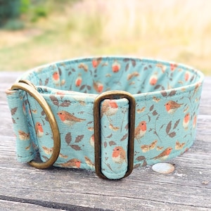 cyan dog collar with Robins, limited slip martingale oder buckle collar, greyhound collar whippet / Robin