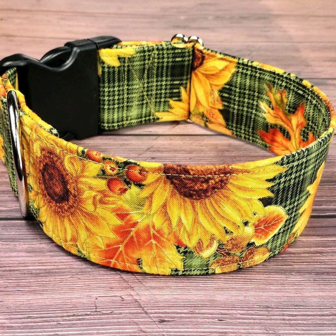 Fall Dog Collar Greyhound Collar Sunflowers Autumn Etsy Finland