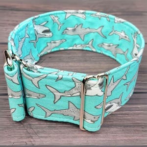 Turquoise haaienhalsband voor honden, maritiem martingale sliphalsband of karabijnhaak, windhondenhalsband, brede halsband / haaienaanval cyaan