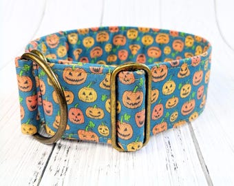 halloween dog collar pumpkins, limited slip martingale oder buckle collar, greyhound collar whippet / pumpkin