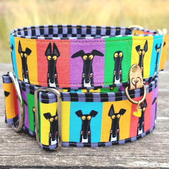 Hundehalsband Richard Skipworth- Motiven, bunt, Martingalehalsband Zugstopphalsband od Klickschließe, Windhundhalsband / Semaphore
