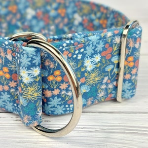 May include: A blue and white floral dog collar with a silver D-ring.